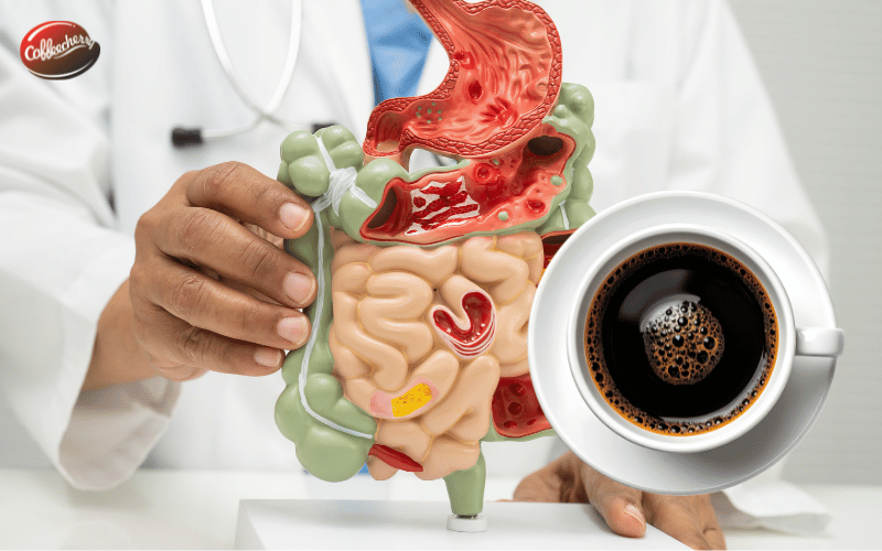 ca-phe-nguyen-chat-va-he-tieu-hoa-vi-sao-uong-dung-lai-de-chiu-hon (3)